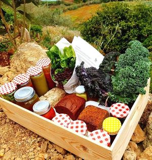 Eco&Rico basket. It is full of healthy and balanced meals: soups, main courses, and sauces. Moreover, we also provide home-made bread, delicious vegan desserts and our organic vegetables, which are harvested on the day of delivery, at Eco Rico in Gran Canaria