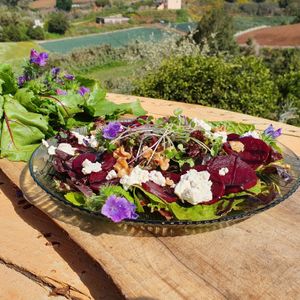 Caprese salad made of organic beetroots. at Eco Rico in Gran Canaria
