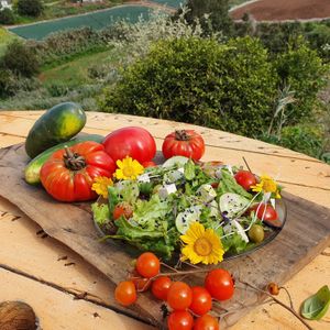  at Eco Rico in Gran Canaria