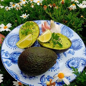  at Eco Rico in Gran Canaria