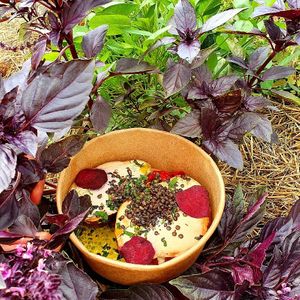  at Eco Rico in Gran Canaria