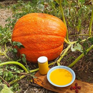  at Eco Rico in Gran Canaria