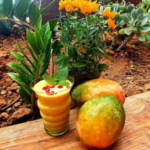  at Eco Rico in Gran Canaria