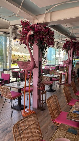   at Bonito Kitchen & Cocktails in Mallorca