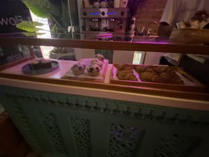 All the goodies!  at Benny & Bloom in Kuta