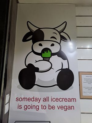  at Madonna Vegan in Figueres