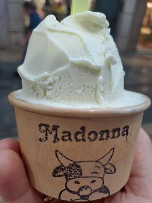  at Madonna Vegan in Figueres