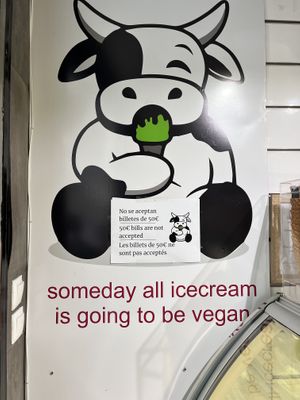 Sign   at Madonna Vegan in Figueres