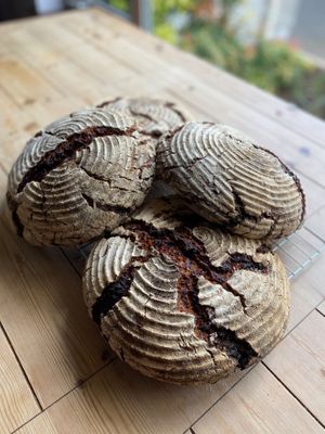  at Cultured Bakehouse in Coleraine