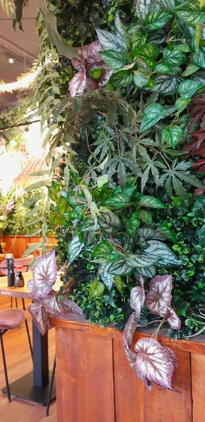 Inrichting at Hawaiian Poké Bowl in Tilburg