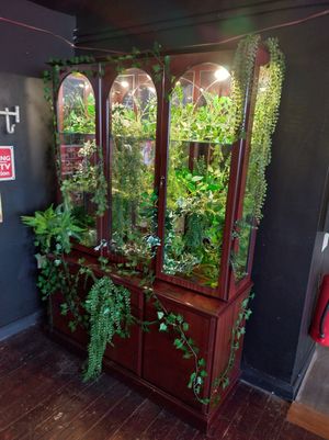  at Junkbox in Douglas