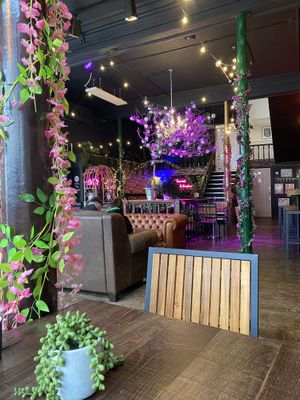   at Junkbox in Douglas