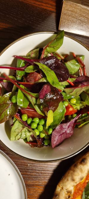  at Gatto Matto Ristorante in Bratislava