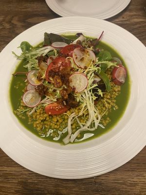 Green vegan salad  at Gatto Matto Ristorante in Bratislava