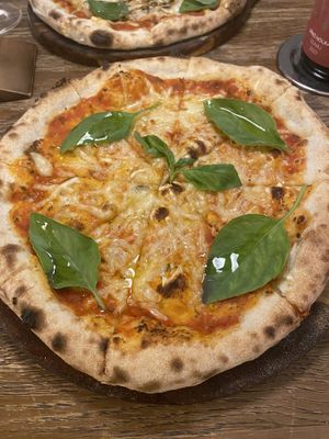   at Gatto Matto Ristorante in Bratislava