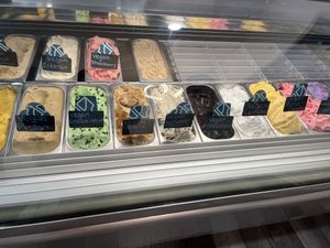 all vegan flavors  at The New Age of Ice Cream in Indianapolis