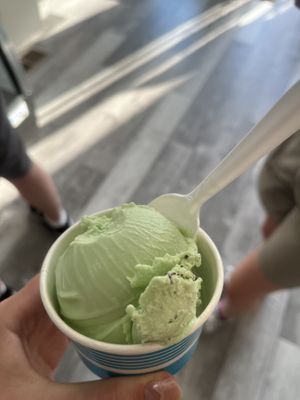 Mint  at The New Age of Ice Cream in Indianapolis