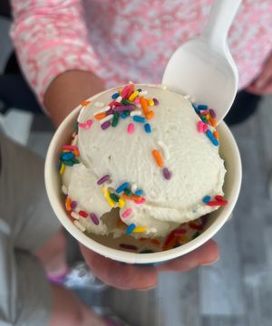 Coconut with sprinkles   at The New Age of Ice Cream in Indianapolis