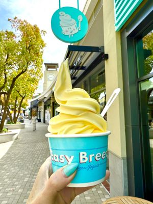   at Easy Breezy in Corte Madera