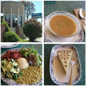 It hit! at Potala Organic Cafe in Albany