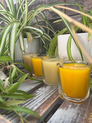 Every Wednesday is WET WEDNESDAY which means FREE wellness shots with any purchase! at Channel Islands Juice Co in Ventura