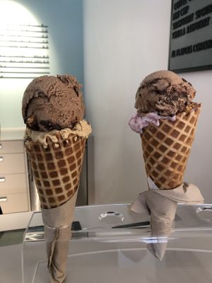   at enila plant based ice cream in Basel