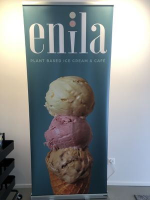   at enila plant based ice cream in Basel