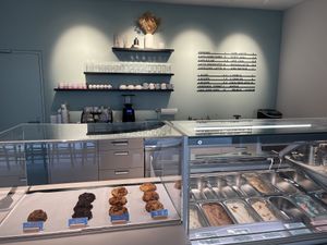   at enila plant based ice cream in Basel