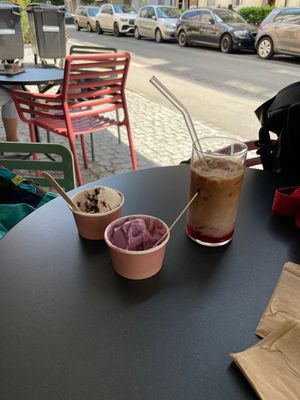 Treats  at enila plant based ice cream in Basel