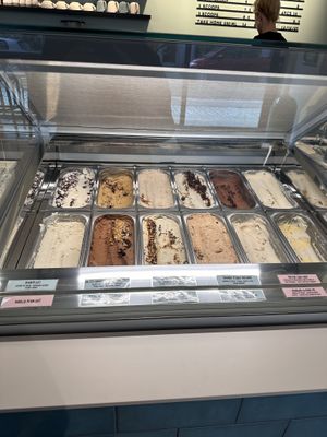   at enila plant based ice cream in Basel
