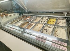   at enila plant based ice cream in Basel