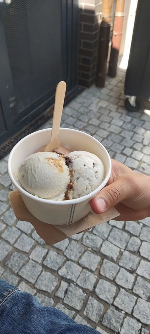  at enila plant based ice cream in Basel