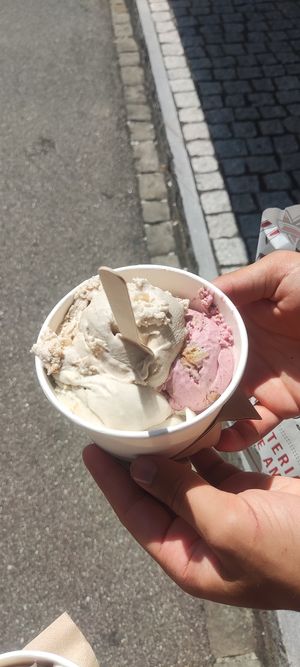  at enila plant based ice cream in Basel