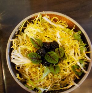  at Hawker in Toronto