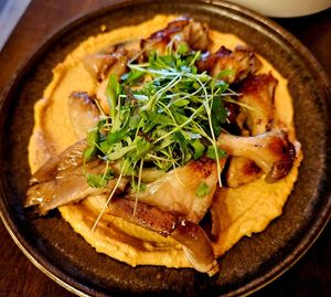  at Hawker in Toronto