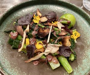   at Hawker in Toronto