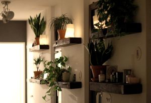 Entspannen in der Vegan Oase at Vegan Oase in Zurich