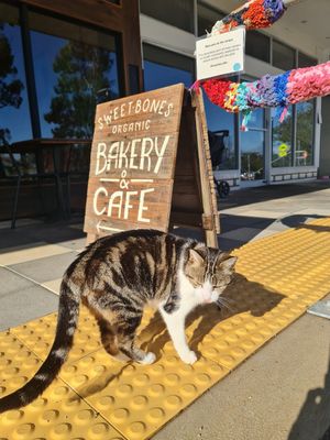  at Scullin Sweet Bones in Belconnen