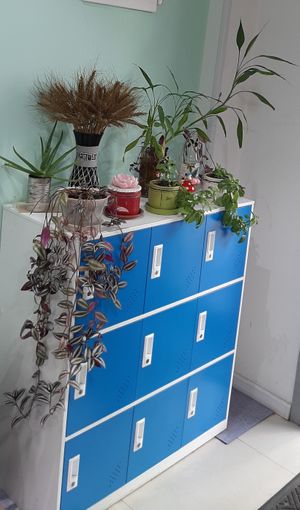  at Vegan Market in Ulaanbaatar