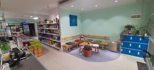  at Vegan Market in Ulaanbaatar