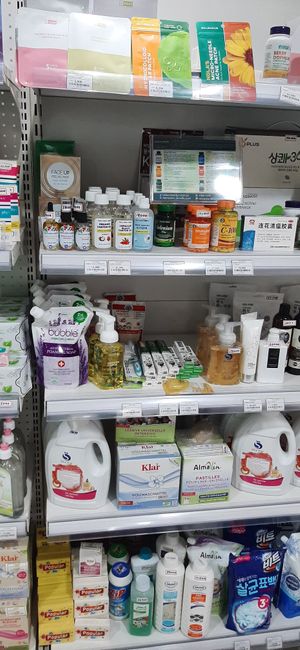  at Vegan Market in Ulaanbaatar