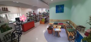  at Vegan Market in Ulaanbaatar