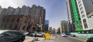  at Vegan Market in Ulaanbaatar