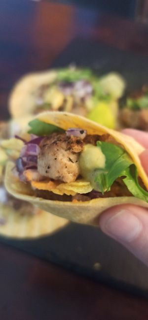 Close up of the vegan taco at Casa de Tacos in Bucharest