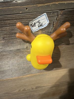   at Bagelstein in Nancy