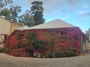 . at Glen Ewin Estate in Houghton