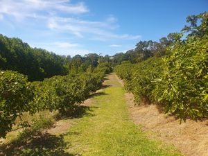. at Glen Ewin Estate in Houghton