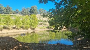 . at Glen Ewin Estate in Houghton