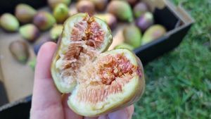 . at Glen Ewin Estate in Houghton