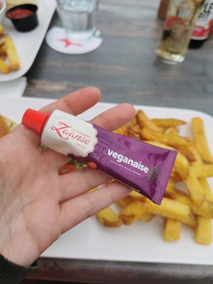 You get extra vegan mayo in a little tube. at Het Heerenhuis in Wijdewormer